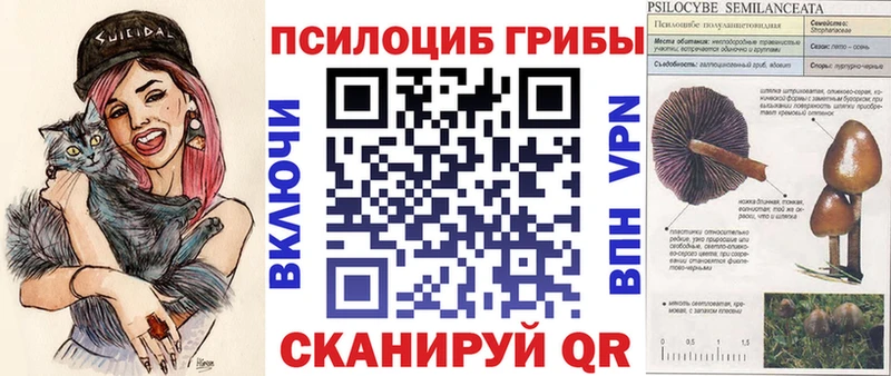 Псилоцибиновые грибы ЛСД  Купить закладки  Псков 